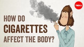 How do cigarettes affect the body  Krishna Sudhir [upl. by Munroe700]