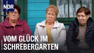 Heimat To Go Vom Glück im Schrebergarten  NDR Doku [upl. by Groscr602]