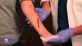 How to Stop Bleeding and Apply Bandages [upl. by Hannad]