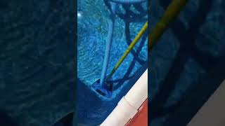 Satisfying pool cleaning asmr swimmingpool [upl. by Amory]