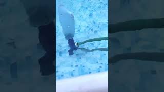 Review on the Hydrotools Small Above Ground Pool and Spa Venturi Vacuum [upl. by Godwin]