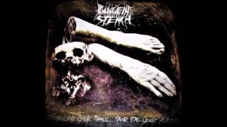 Pungent Stench For God Your Soul for Me Your Flesh 1990 FULL ALBUM VINYL RIP [upl. by Coke131]