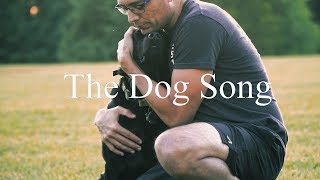 The Dog Song by Dhani Harrison Netflixs Docuseries quotDogsquot main theme [upl. by Amelie]