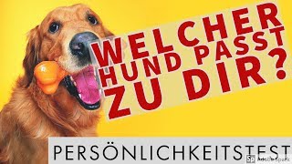 🤣 Welcher Hund passt zu dir Persönlichkeitstest 🤣 [upl. by Imeka846]