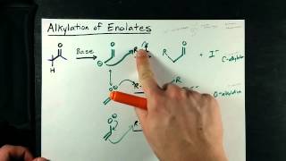 Alkylation of Enolates  Ketone  Alkyl Halide [upl. by Dnomde168]