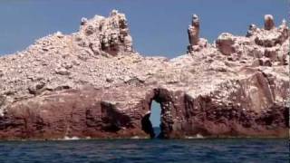 Baja and the Sea of Cortez on a Moorings 47 foot Powercat [upl. by Shinberg]