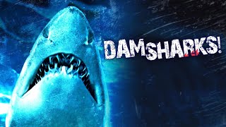 Dam Sharks  Music Video [upl. by Imelda]