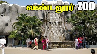 VANDALUR ZOO 2021 Arignar Anna Zoological park vandalur chennai zoo [upl. by Polad]