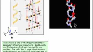 Secondary Structure [upl. by Enymzaj]