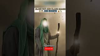 Black cat and black snake are ghosts trending viral viralvideo shortsvideo trendingviralshorts [upl. by Animor222]