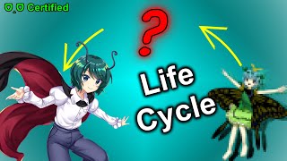 Touhou Wriggle Nightbug Life Cycle [upl. by Enimsaj]