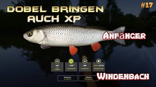 17 RF4 Anfänger Döbel Bringen auch XP Russian Fishing RF4 Windenbach [upl. by Ydnyl]