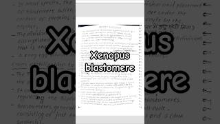 Xenopus blastomere shorts notes msc bsczoology biology [upl. by Akceber]