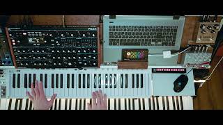 Novation Peak Live Looping  Laser Light [upl. by Ynattib]