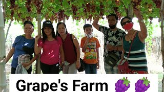 Grapes Farm  La Union  April 17 2022 [upl. by Adnowat]