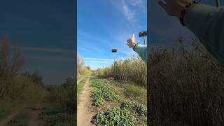 RIP L’oiseau 😰 nature vlog humour wild wildlife exploration [upl. by Shotton]