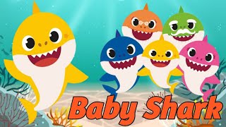 Baby Shark doo doo Song amp Dance  Baby Shark doo dootoddlers [upl. by Derriey]