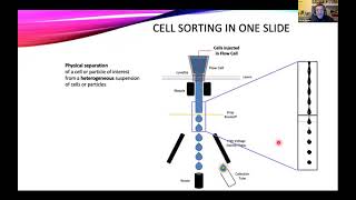 OpenFlow Introduction to Cell Sorting Part II [upl. by Bunder]