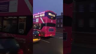 Translink Metro 3651 AVI 1351  Route 1g  Clifton House Belfast  Wright Streetdeck Electroliner [upl. by Lundt]