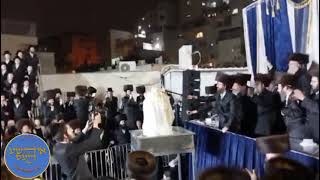 Lag Baomer 5784 With Zvhil Rebbe [upl. by Nibla]