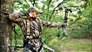 TOP 5 BEST HUNTING BOW 2024 [upl. by Hirza]