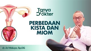 Orang Dengan Kista Atau Miom Tetap Bisa Hamil┃Kata Dokter [upl. by Eniliuqcaj338]