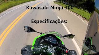 Kawasaki Ninja 300  TOP SPEED HD [upl. by Niawat536]