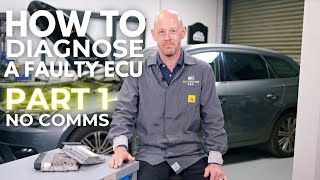 How To Diagnose A Faulty ECU With No Communication [upl. by Selij782]