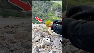 Rescuing a Tiny Roadside Plant 😍 [upl. by Ylime453]