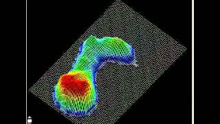 3d DynamicDigital Gait Scan [upl. by Adele]