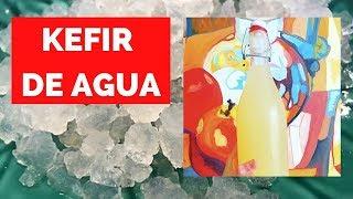 TIBICOS  Cómo deshidratarlos y rehidratarlos KEFIR DE AGUA [upl. by Anica]