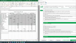 AAT Level 3 Spreadsheets  sample 2 [upl. by Owena]