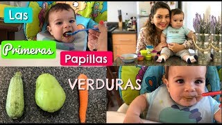 COMO HACER LAS PRIMERAS PAPILLAS DEL BEBE 6 Vegetales Calabaza zanahoria y chayote [upl. by Anon375]