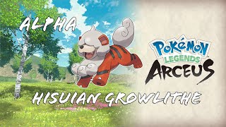 Alpha Hisuian GROWLITHE Arcanine  Location Pokémon Legends Arceus [upl. by Airotahs]