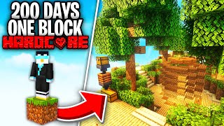 I Survived 200 Days on One Block Skyblock [upl. by Pelmas934]