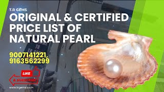 Price List of Natural Pearl Gemstones Best Gemstone Store in Kolkata T R Gems Kolkata [upl. by Norita]