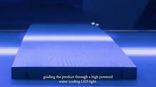 LED Coating Solutions LED 600  LEDUV Wood Curing Machinery Equipment [upl. by Aihsemak]