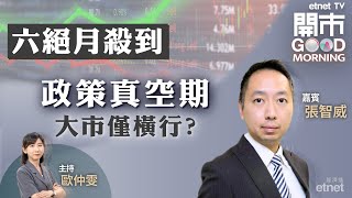 20240603｜港股價量齊跌 六絕月命運難料？｜新能源車企5月數據｜ETF部署策略｜嘉賓：張智威｜開市Good Morning｜etnet [upl. by Renate646]