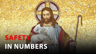 Daily IVE Homilies November 7 2024  Safety In Numbers [upl. by Jilleen]