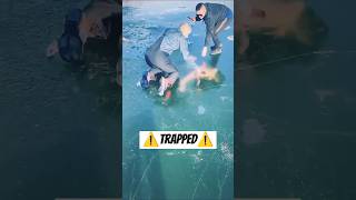 Diver TRAPPED Under Ice [upl. by Utas]