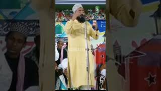 Call e tahkik hai mohammadalifaizinaat bestnaatsharif love reels islamicmusic newnaat duet [upl. by Ikin]