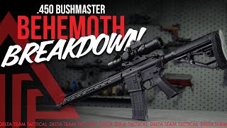 Best 450 Bushmaster Complete Rifle The Behemoth [upl. by Newel]