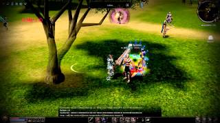 Metin2  PvP mental 70 vs 100 110120160 [upl. by Dlanor]