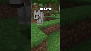 Did You Know this About Wolves in Minecraft [upl. by Fanchon368]