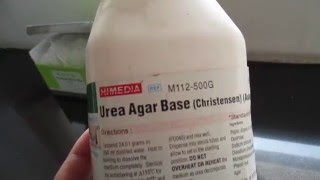 How to prepare Christiansens urea agar Theory [upl. by Chalmers999]