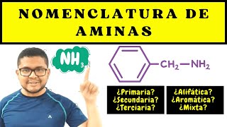 NOMENCLATURA ORGÁNICA AMINAS  Nomenclatura de Aminas [upl. by Stauffer]