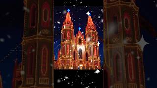 Shrine Basilica  Vailankanni yt youtubeshorts shorts velankanni vailankanni ytshorts video [upl. by Felisha]