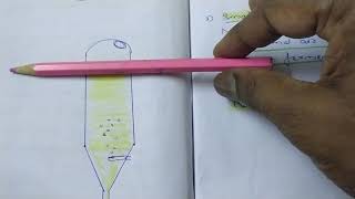 Types of Bioreactors I [upl. by Kired]