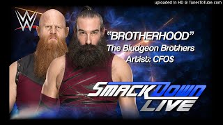 The Bludgeon Brothers 2017  quotBrotherhoodquot WWE Entrance Theme [upl. by Anne]