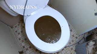 Clogged Drain 107 [upl. by Nim168]